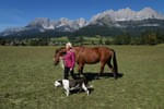 Mobile-Hundeschule-Kaernten