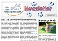 Newsletter-September-2013