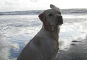 Ronja-aus-Duisburg Ronja-aus-Duisburg